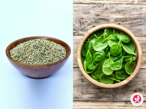 पौष्टिक बाजरा पालक इडली