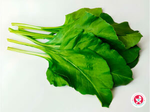 स्वास्थ्यवर्धक पालक पूरी रेसिपी